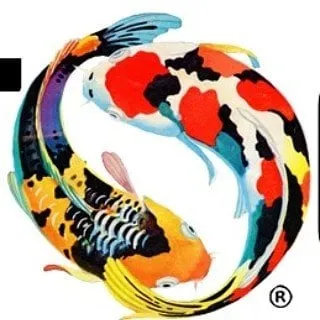 Together discount code